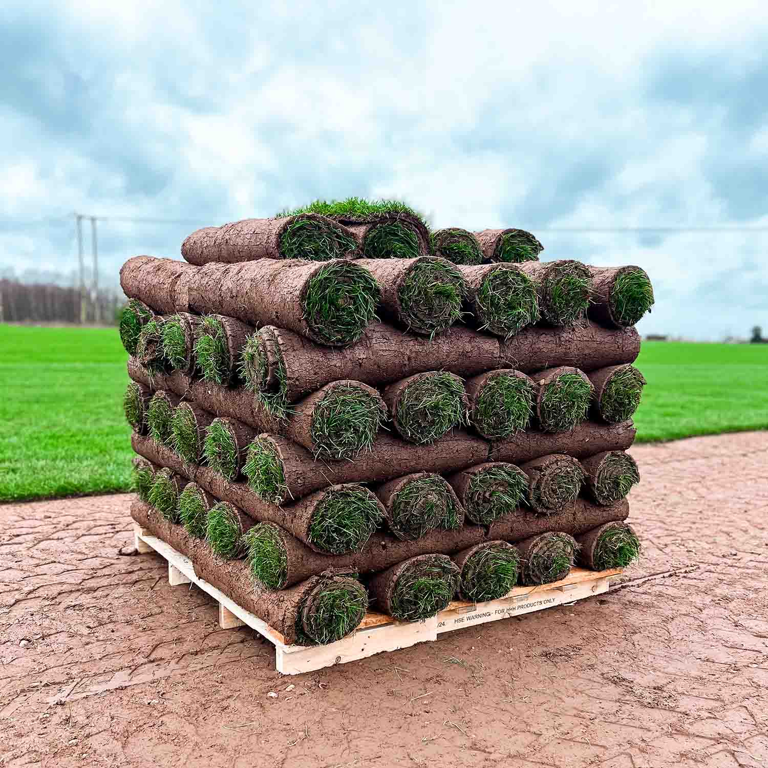 Turfworld Emerald Turf on our field in West Midlands on a pallet