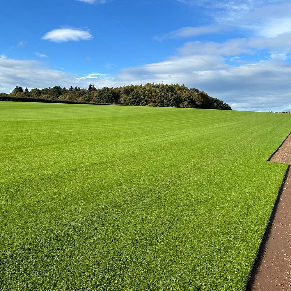 Turfworld field in Wolverhampton, West Midlands. Premium turf for trade and public