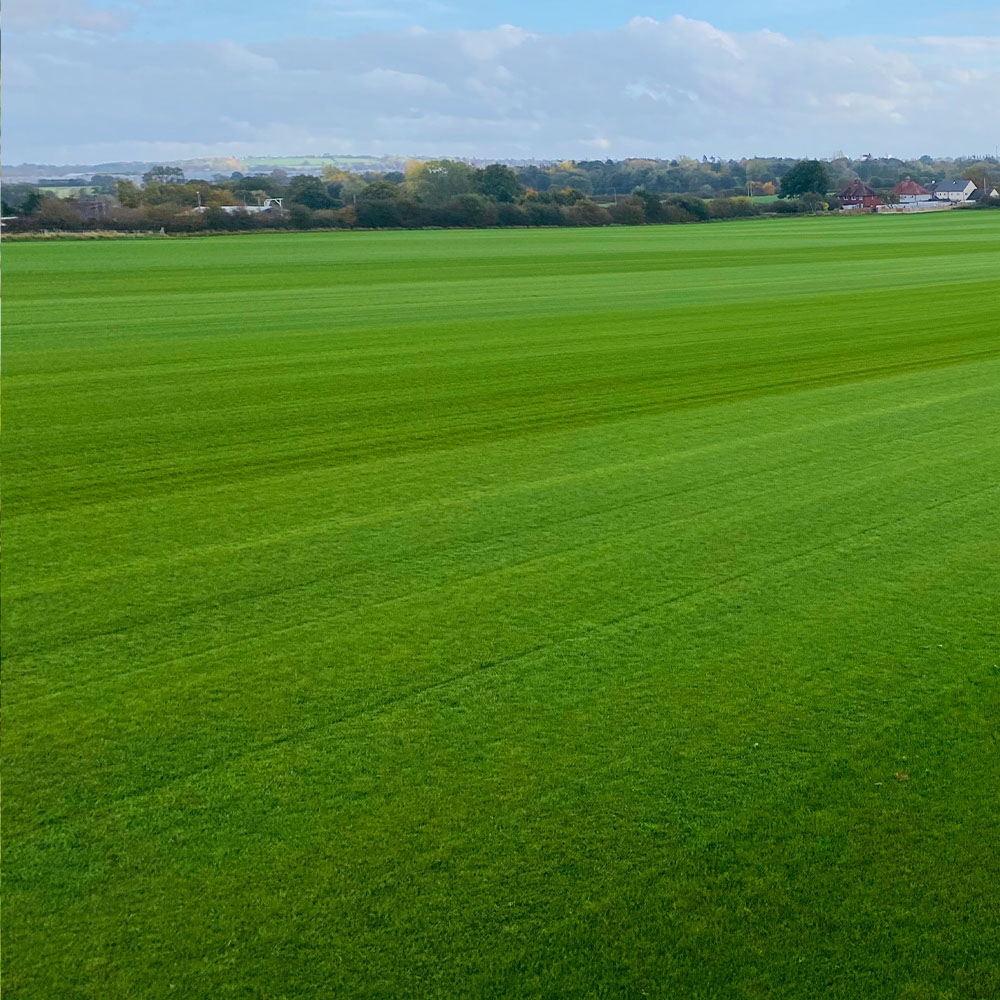 Turfworld field in Wolverhampton, West Midlands, providing high-quality turf for trade and public