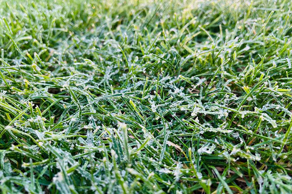 Turfworld_Winter Lawn Care Turfworld, open to trade and public, winter lawn care guide for our blog